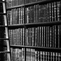 reading