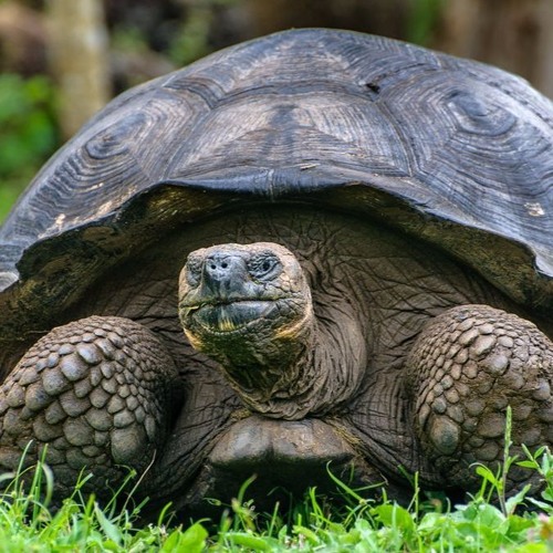 Slow Mix - House & Techno - 2011