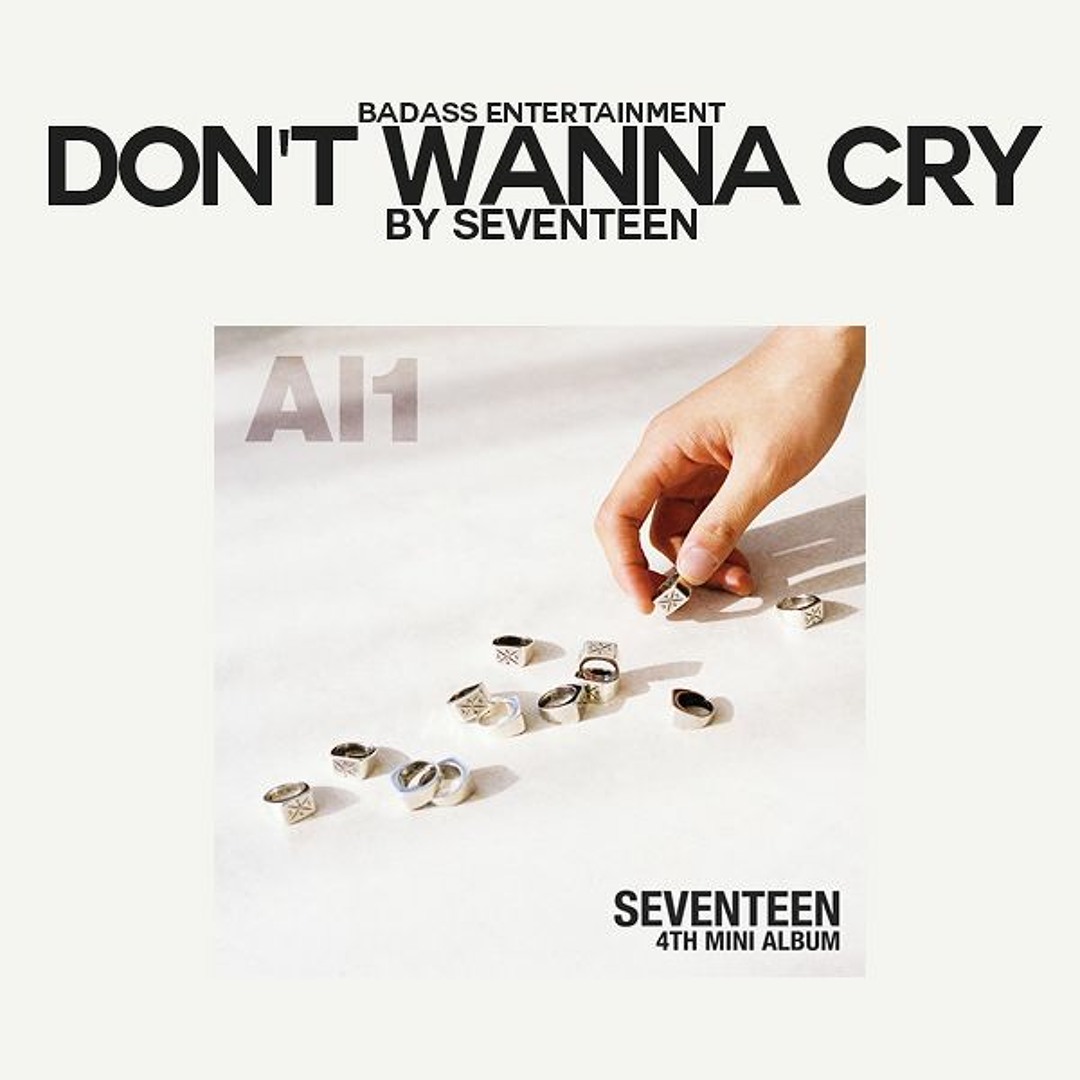 SEVENTEEN ジョンハン Don't Wanna Cry サイン Al1 Don't wanna cry