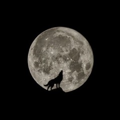 HOWLING - BENNY LA MALICE - PBR 09