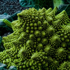 some good psy-trance