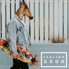 Feeling Good - MOSAIC (Original Mix)
