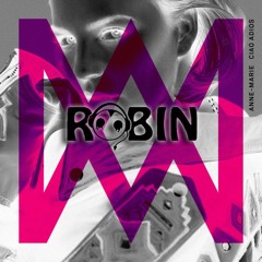 Anne-Marie - Ciao Adios (ROBIN Remix) FUTURE HOUSE