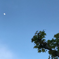 Dedicate To Y.K. (20 JUN 2017)