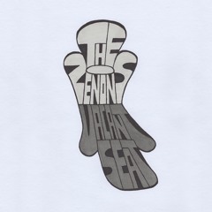 The Zenons - Cloudy Mind