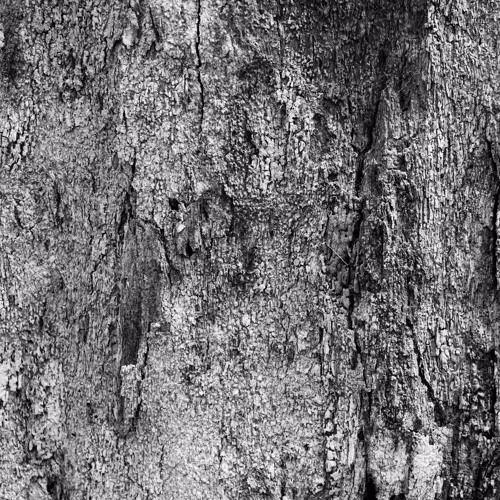 Stream Field of Dreams In Our House (Instrumental Mix) by Field Of