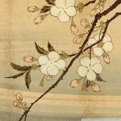 X Files  //  Prod. by Zorah