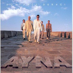Ayna - Tırtıl