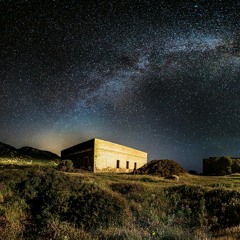 The Happy Hallucinations