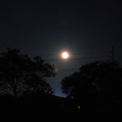 That Moonlit Night