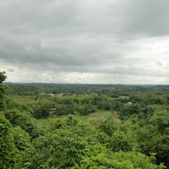 ধন ধান্যে পুস্প ভরা