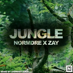Jungle X Normdre X Zay