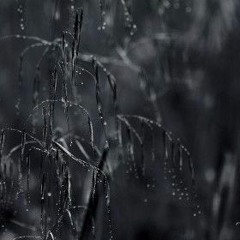 Yağmur yağar taş üstüne-keman