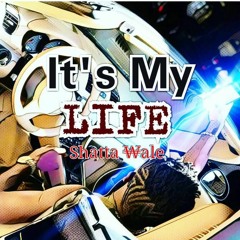 Shatta Wale Ft Sarkodie - My Life [Prod By Shawers Ebiem]