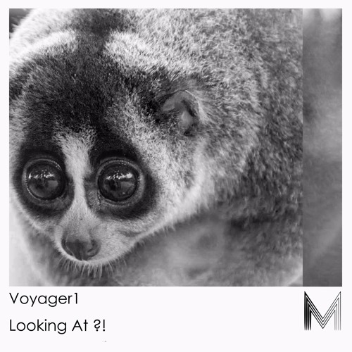 Voyager1 - Looking At ?!