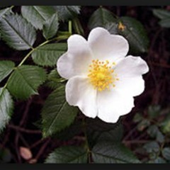 Love me some slappers