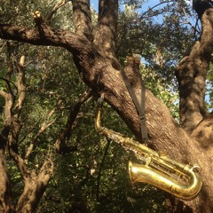 Thibault - Chancha Via Circuito - José Larralde - Quimey Neuquen