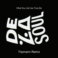 De La Soul - What You Life Can Truly Be (Tripmann Remix)