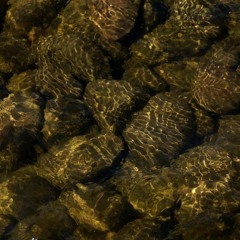 Behind Limits Of Consciousness (live Act At Silent Tea. 23.07.17)