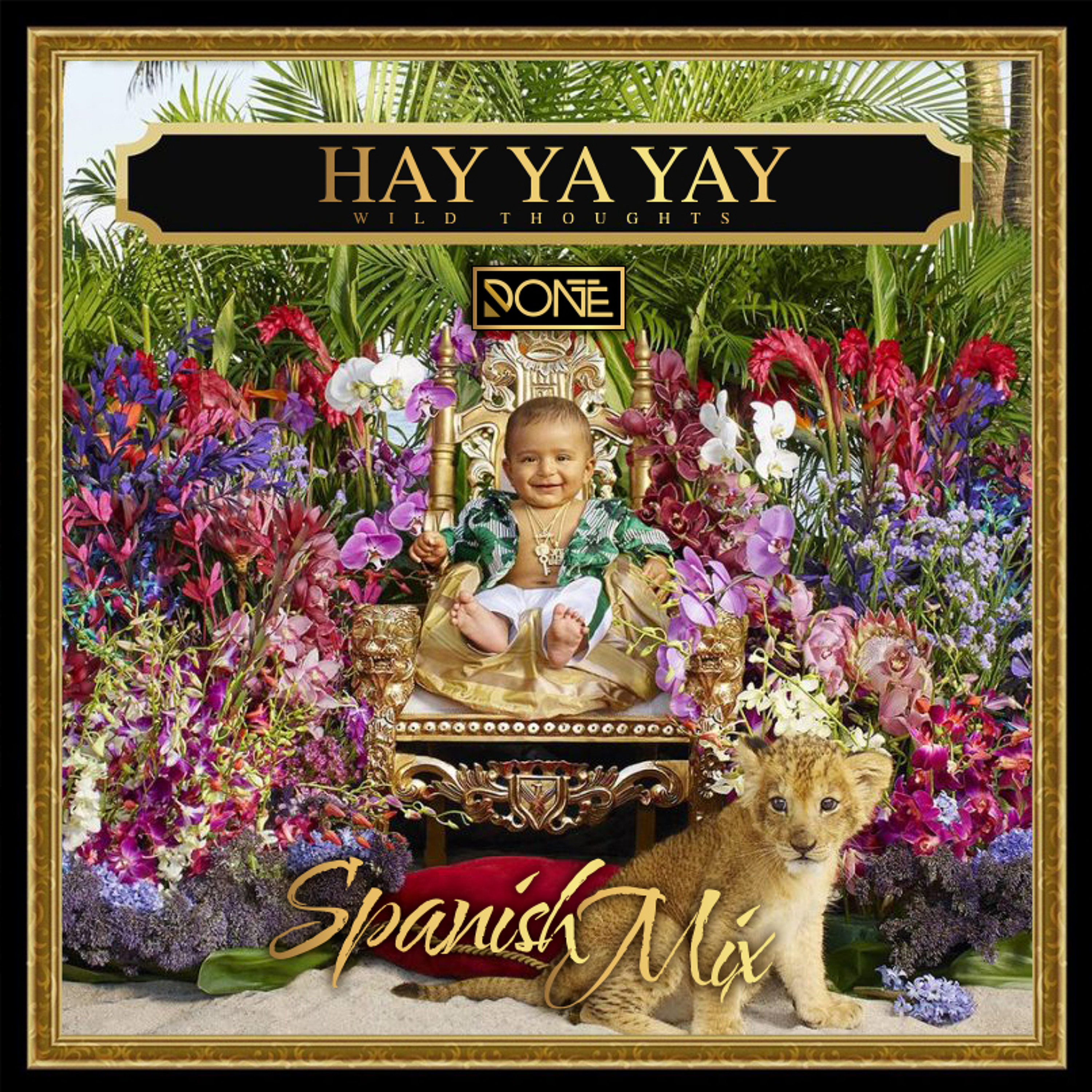 Hay Ya Yay - Wild Thoughts Spanish Remix episode artwork