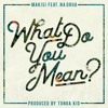 Makisi Feat Na Drua What Do You Mean Mp3