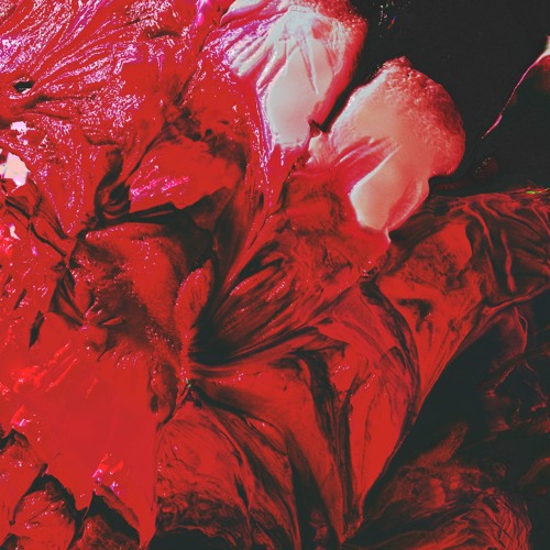 CRITICAL THOUGHT (STORYOFADON) [MIX VOL. 3]