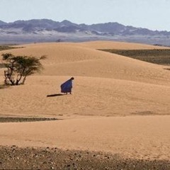 Unknown Wanderer Feat Lala - Trained Professional