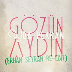 Ajda Pekkan - Gözün Aydin (Erhan Seyran Re-Edit)