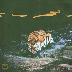 P.A.W.S (Single Edit)
