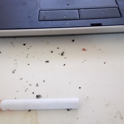 Slowdive - Falling Ashes (Frietboer Edit)