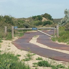 בחברה להגנת הטבע - Society for Nature's Protection