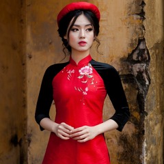 Xin Chào Việt Nam Mix