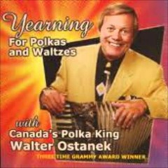 polka en instrumentaal