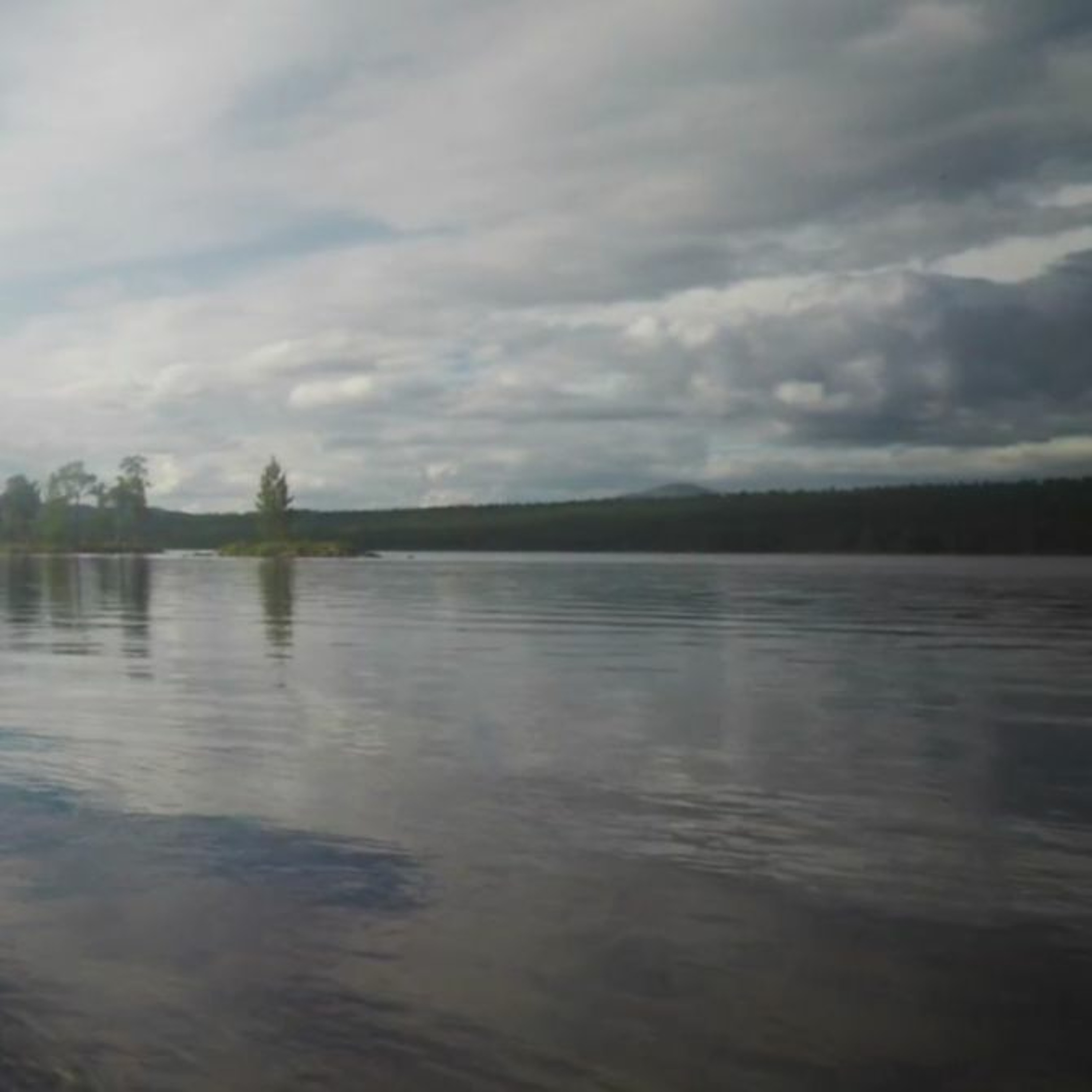 TheBellows