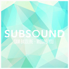 Sam Bassline - Missing You