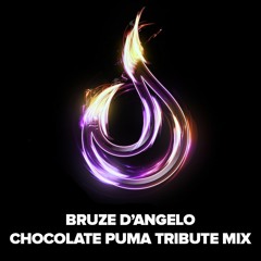 21 TRACKS OF CHOCOLATE PUMA BY BRUZE D'ANGELO