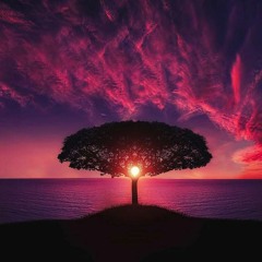 Feel it - Chill Music