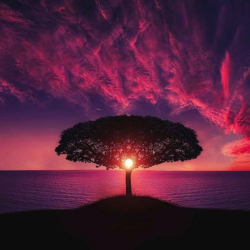 Feel it - Chill Music