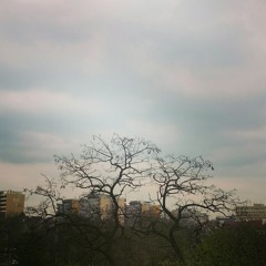 Chand tanha hai written by Meena Kumari