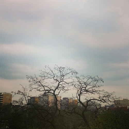 Chand tanha hai written by Meena Kumari