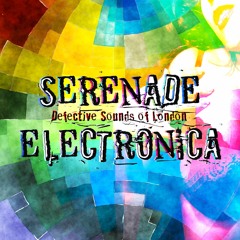 Serenade Electronica by Defective Sounds Of London