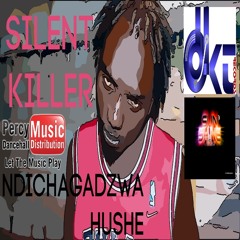 Silent Killer - Ndichagadzwa Hushe (DKT Sunshine Riddim 2017 Sheltang DKT )