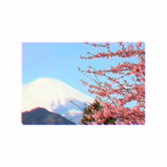 N3KO - Sakura