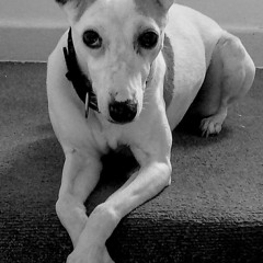 Brian Ritchie & Stuart McCann - The Stand