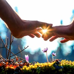 You've been lied to, and you need to heal