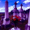Lil Skies Ft Landon Cube Red Roses Dirty Edit Mp3