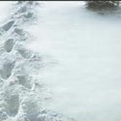 Walking In The Chill