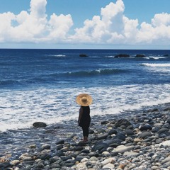 A Letter From the Beach