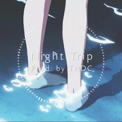 NIGHT TRIP
