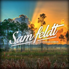 Sam Feldt - Ochtendgloren (Mixtape)